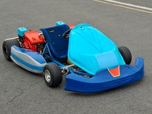 Image of Pro Kart