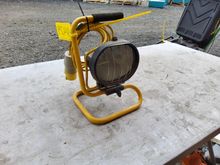 Image of Single Site Light 110V