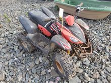 Image of Dolphin 100 Childs Quad Bike