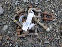 Image of 10x D Shackles