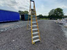 Image of 10 Step Stepladder