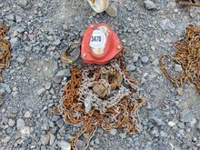 Image of 1T Winch With Chain