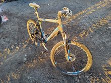 Image of Frame Size: 21"| Wheel Size: 29"