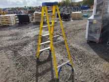 Image of Werner Extension Ladder