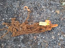 Image of Nitchi H-50A 1T Chain Hoist