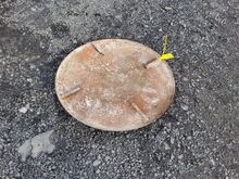 Image of Petrol Power Float Pan