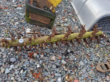 Image of Conditioner