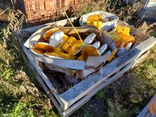 Image of Orange Beacons