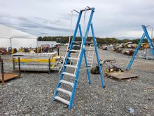 Image of Step Ladder