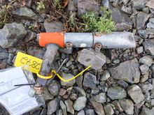 Image of Needle Scaler