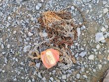 Image of Viper 1000KG Chain Block