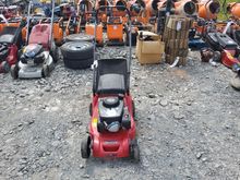 Image of Mountfield 164P Pedestrian Mower