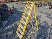Image of Step Ladder