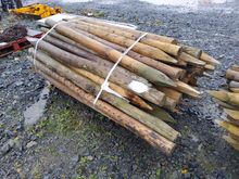 Image of 50 Mixed Stakes