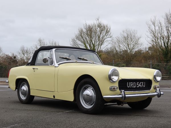 Image Placeholders2_edited.jpg