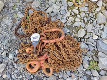 Image of 4 Leg Chain