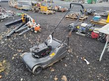 Image of Hayter Harrier 56 Pedestrian Mower