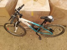 Image of Apollo Twilight,  Raleigh Pioneer