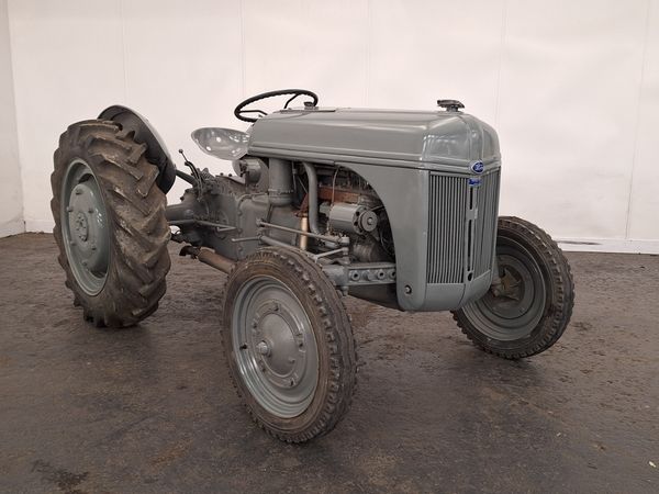 Image Placeholders2_edited.jpg