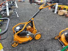 Image of AS Motor Pedestrian Mower