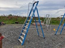 Image of Step Ladder