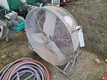 Image of Fan