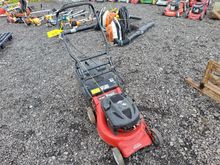Image of Regal Pedestrian Mower