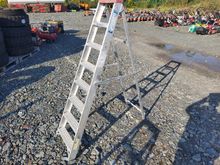 Image of Step Ladder