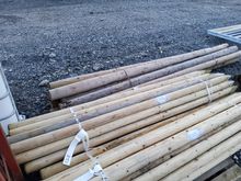 Image of 30x 8' 3 1/2" Tree Stakes