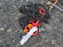 Image of Set of Brothers (Chains) 2x Leggers