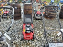 Image of Mountfield 164 SP Pedestrian Mower
