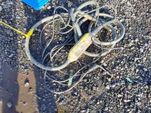 Image of Electric Vibrating Concrete Poker