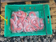 Image of Box of Hooks