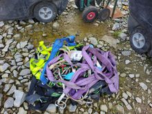 Image of Quantity Of Straps And Harnesses