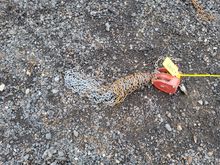 Image of GT Walsall 1T Chain Hoist