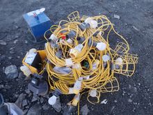 Image of Quantity of Festoon Lights