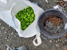 Image of Bag of Re Bar Caps