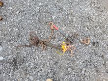 Image of 2x Wire Fence Tensioners