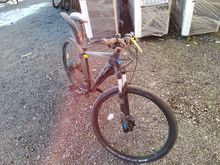 Image of Frame Size: 19"| Wheel Size: 29"