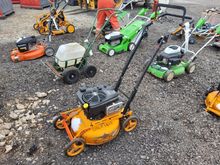 Image of AS Motor Pedestrian Mower