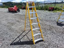 Image of Step Ladder