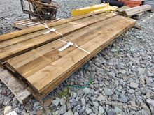 Image of 24x 12' Feather Age