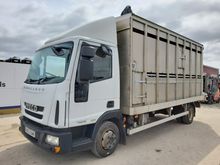 Image of IVECO Eurocargo 75E16 4x2 Livestock Lorry